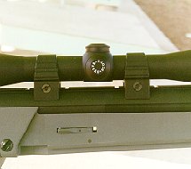 Leupold scope in Steyr mounts (9k jpg)