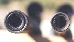 Muzzle comparison (8k jpg)