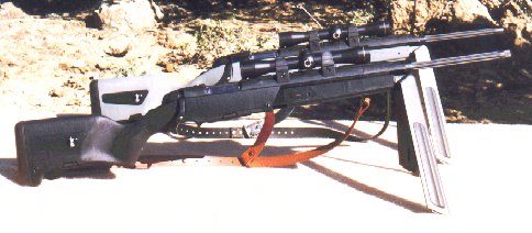 Tactical Rifle (31k jpg)